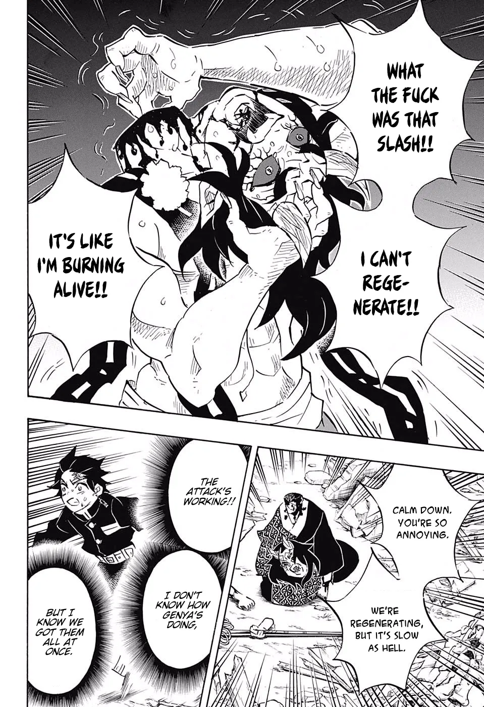 demon slayer chapter113-page013.webp
