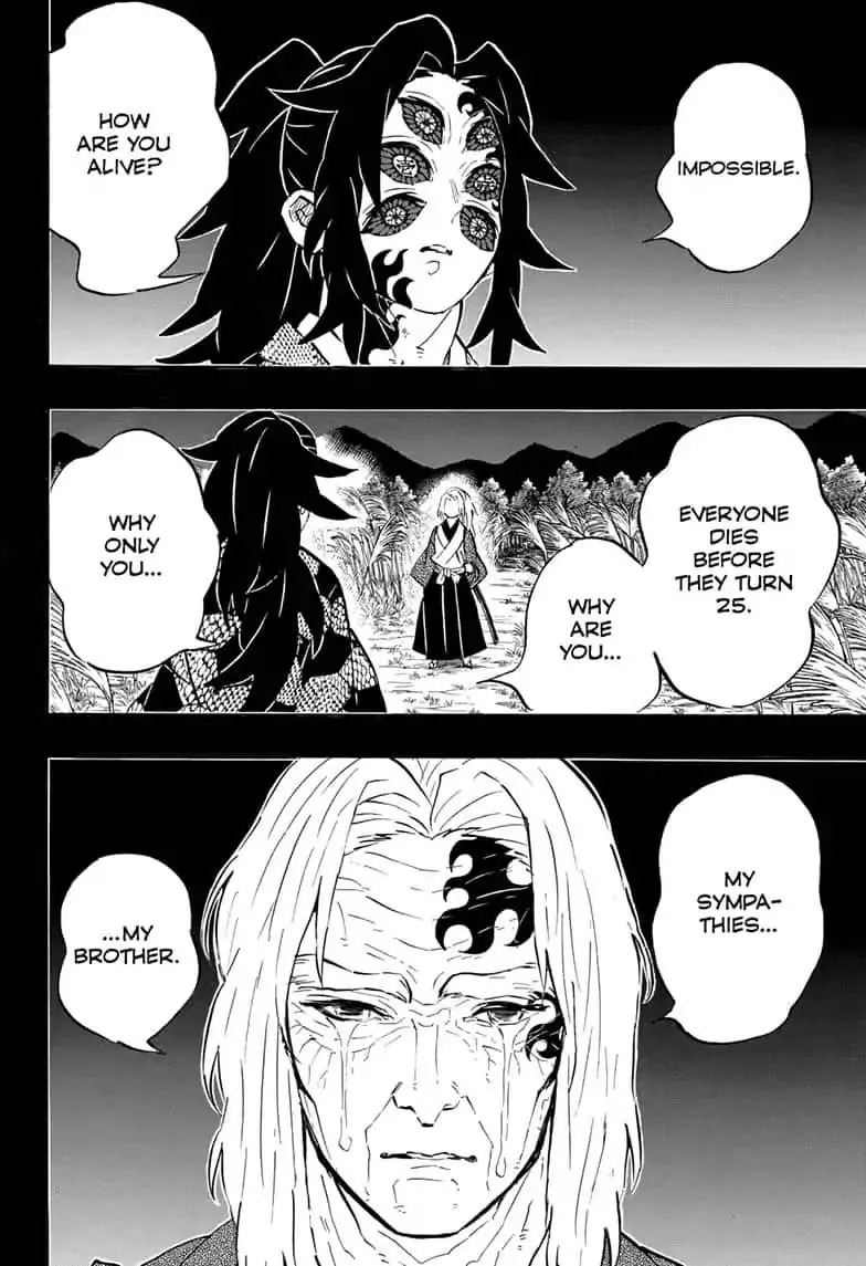 demon slayer chapter174-page010.webp