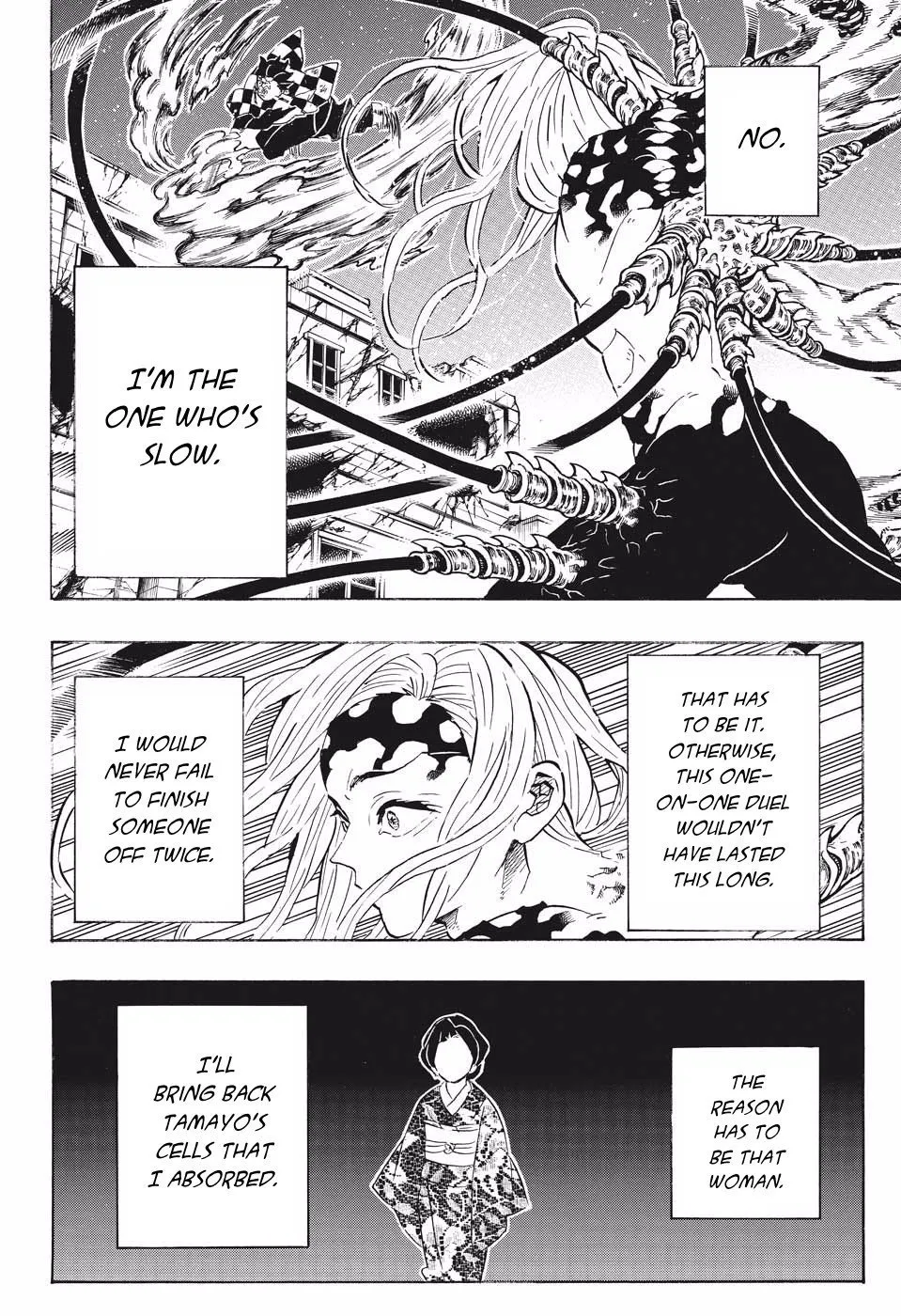 demon slayer chapter193-page014.webp