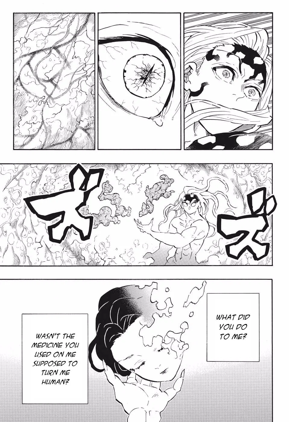 demon slayer chapter193-page015.webp