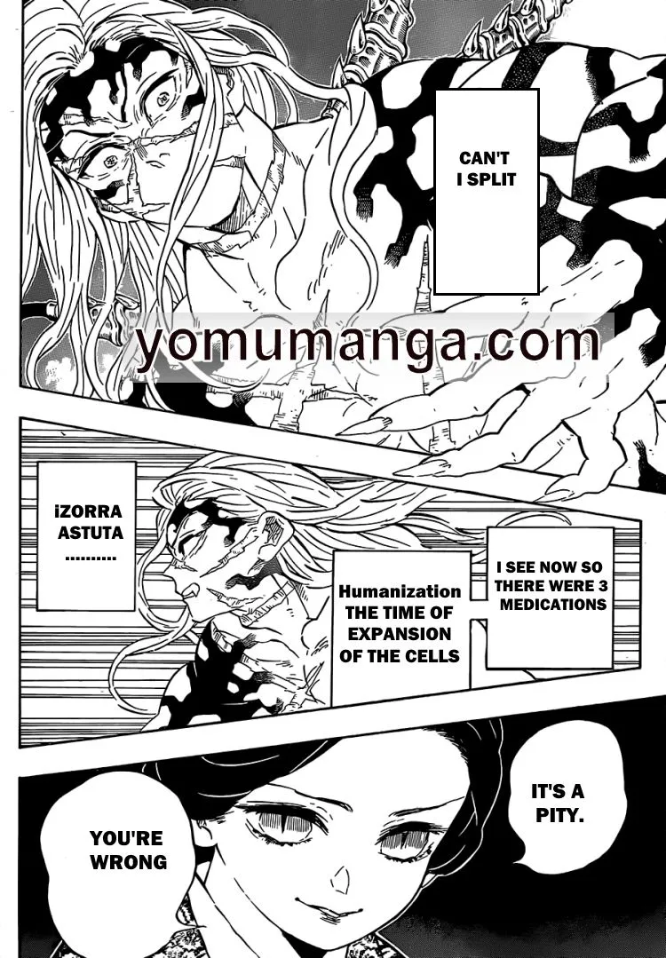 demon slayer chapter196-page018.webp