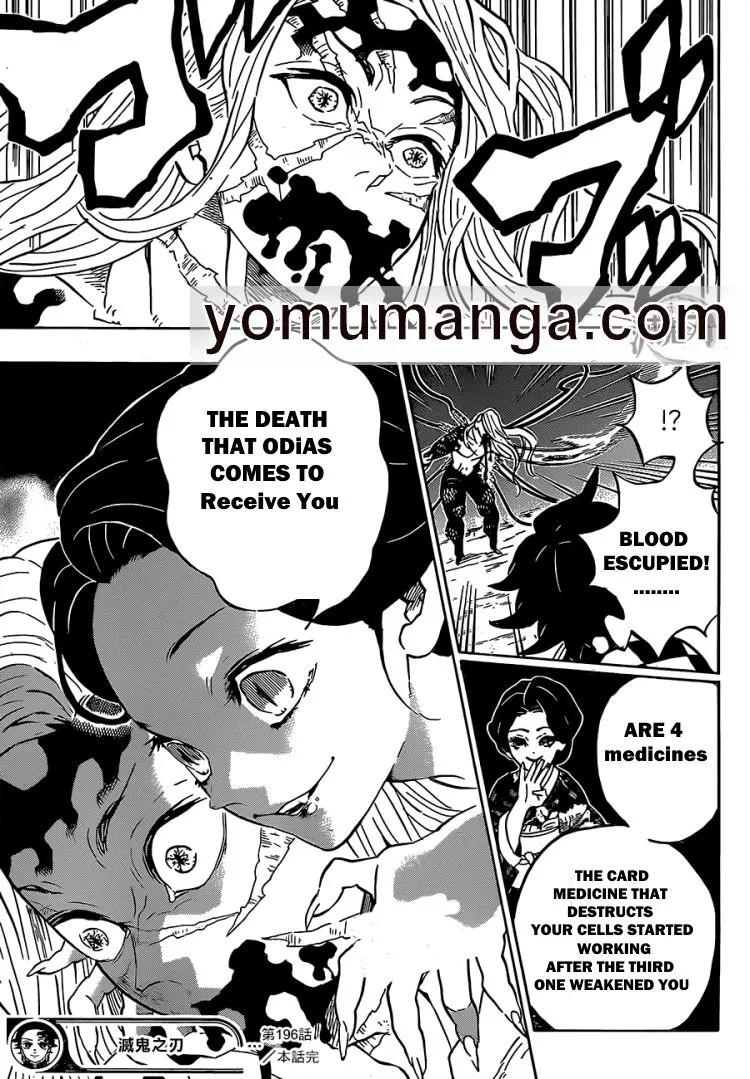 demon slayer chapter196-page019.webp