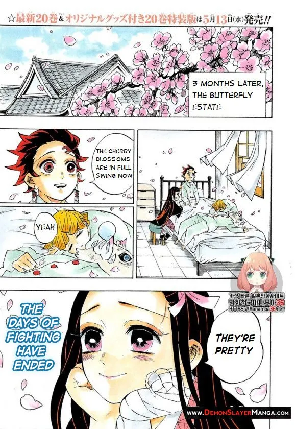 demon slayer chapter204-page001.webp